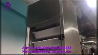 2284 J122 Pionowa maszyna do nawijania folii do pakowania z tylnym zamykaniem Maszyna do pakowania mrożonych klusek