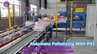 2299 P41 Paletyzer bramowy