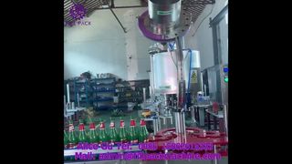 2220 J118 Automatyczna 6-głowicowa maszyna do zamykania koron