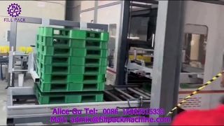 2307 P42 Linia do paletyzacji opakowań kartonowych