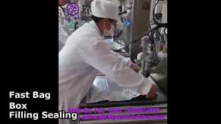 2108 L14 Półautomatyczna jednogłowicowa maszyna do napełniania i zamykania worków w pudełkach